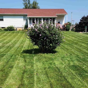 gardening service by Landscapers reviewed on August 20, 2025