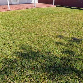 gardening service by E & J Lawnz reviewed on August 20, 2025