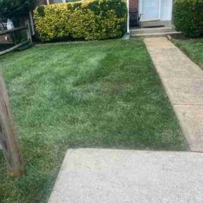 turf care by Heiser Lawn and Residential Excavating reviewed on November 17, 2023