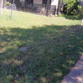 Leaf Removal by CRP Landscape reviewed on August 20, 2025