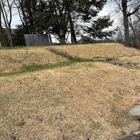 Leaf Removal by Carranza landscaping reviewed on April 4, 2026