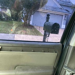 Bush Trimming by Djalt Lawn Maintenance, LLC reviewed on August 21, 2025