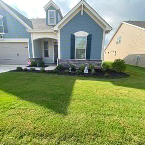 Bush Trimming by B&M Paradise services LLC reviewed on August 17, 2025