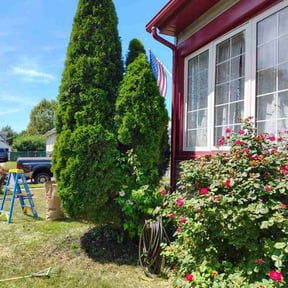 grass cutting by Hogman and Sons Lawncare Plus reviewed on August 15, 2025