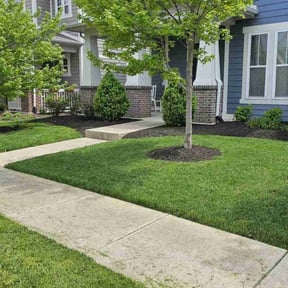 yard care by Farrar Landscaping reviewed on August 20, 2025