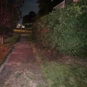 Bush Trimming by Montel's LawnCare reviewed on August 30, 2026