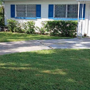 Bush Trimming by Elite reviewed on October 28, 2023