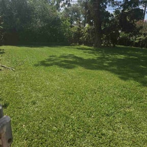 grass cutting by Slice&#039;n Whack reviewed on August 13, 2023