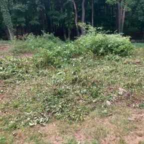 Bush Trimming by Ronnie Thacker reviewed on August 16, 2025