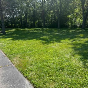 lawn maintenance by Clover construction LLC reviewed on December 5, 2023