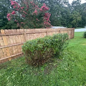 Bush Trimming by Trailside group reviewed on August 15, 2026