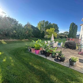 landscaping by SN Landscaping reviewed on August 15, 2025