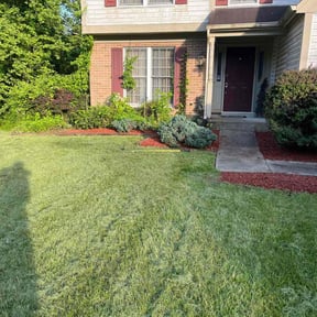 Mulching by Lush Lawns reviewed on August 21, 2025