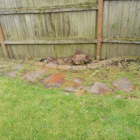 Flower Bed Weeding by Like My Lawn reviewed on August 19, 2025