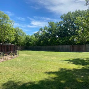 yard service by Second 2 None reviewed on December 11, 2025