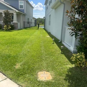 turf care by DeVico Landscaping reviewed on May 7, 2024