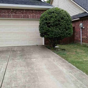 Bush Trimming by K.M.W. Lawn Services & Logistics LLC reviewed on August 16, 2025