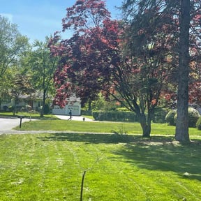 yard service by R & C Landscaping reviewed on August 21, 2025