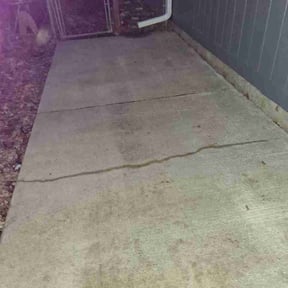 Leaf Removal by Premier Lawn &amp; Landscaping reviewed on February 1, 2026