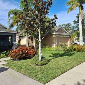 lawn maintenance by Harris Landscape and Snow Removal reviewed on August 2, 2025