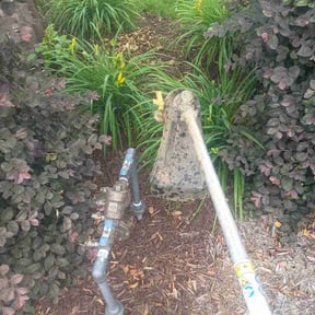 Bush Trimming by Coco reviewed on May 8, 2026