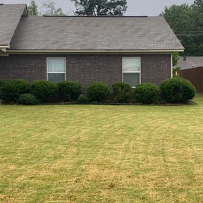Bush Trimming by Grasman LLC reviewed on August 17, 2025