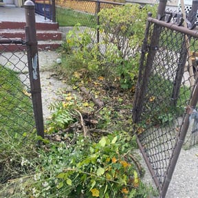 Bush Trimming by Jose and Dar Landscape reviewed on August 21, 2025