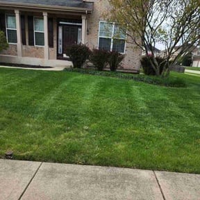 landscaping by Aracachi's landscaping reviewed on August 19, 2025