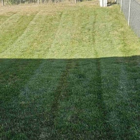 lawn service by Lc landscaping reviewed on September 10, 2023