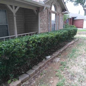 Bush Trimming by Pace Lawn and Garden reviewed on August 17, 2025