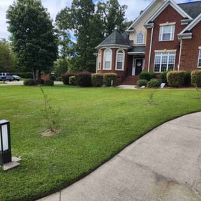 yard service by 5 Oaks Lawn Care reviewed on August 17, 2025