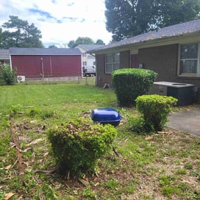 Bush Trimming by LIGHTNING LANDSCAPING & LAND MANAGEMENT reviewed on August 15, 2025