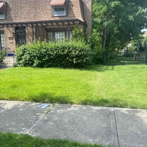 lawn care services by A/K Supreme Property LLC reviewed on May 4, 2025