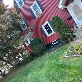 Bush Trimming by Turnerz Does it All reviewed on November 21, 2025