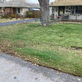 Leaf Removal by TAKE OVER LANDSCAPING&amp;SNOW reviewed on October 19, 2025