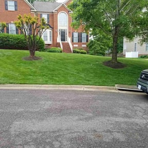 landscaping by 804 lawn service reviewed on December 18, 2025