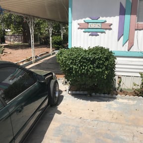 Bush Trimming by 66landscaping.com reviewed on August 18, 2025