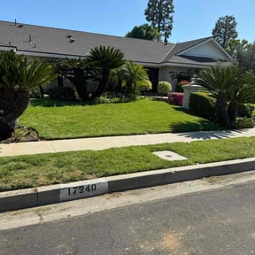 landscaping services by Precision Landscaping & more reviewed on August 16, 2025