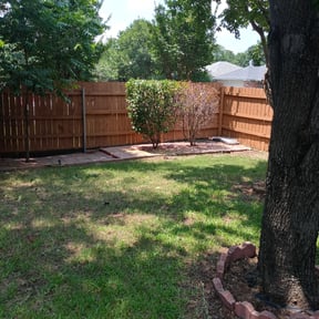 Bush Trimming by Jose Lawn service reviewed on August 19, 2025