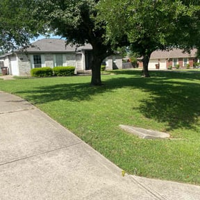 Long Grass Cleanup by Sovereign building services reviewed on August 19, 2025