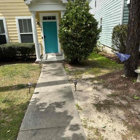 Bush Trimming by Yard Goat Lawns llc reviewed on November 18, 2025