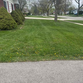 lawn service by Lawn Geekz reviewed on April 20, 2024
