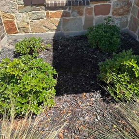 Flower Bed Weeding by Lawn care by james reviewed on April 19, 2026