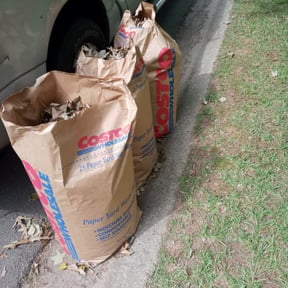 Leaf Removal by deeper roots lawncare reviewed on September 7, 2025