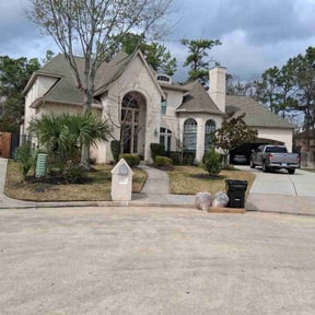 Bush Trimming by Set in stone reviewed on February 19, 2026