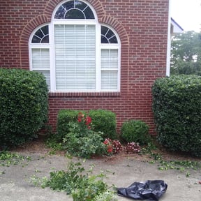 Bush Trimming by Clear Cut Lawn and Landscape reviewed on August 15, 2025