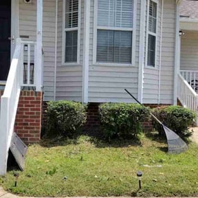 Bush Trimming by M & F Landscaping Services LLC reviewed on August 16, 2025