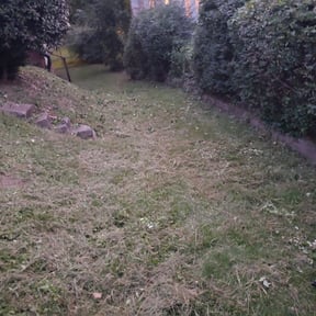 Bush Trimming by K&k lawn care&snow reviewed on August 19, 2025