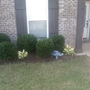 Bush Trimming by A. Shook reviewed on August 19, 2025