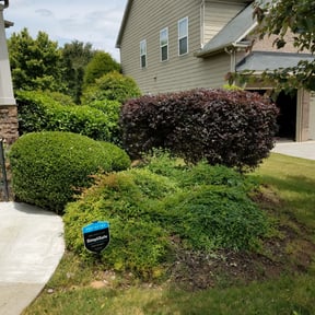 Bush Trimming by E.B. Lawncare LLC reviewed on August 19, 2025